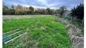 Plot with PP for sale in Peene photo